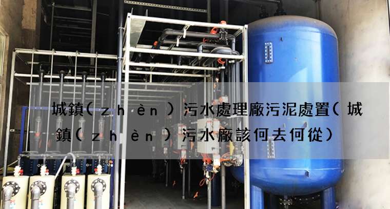 城鎮(zhèn)污水處理廠污泥處置(城鎮(zhèn)污水廠該何去何從)